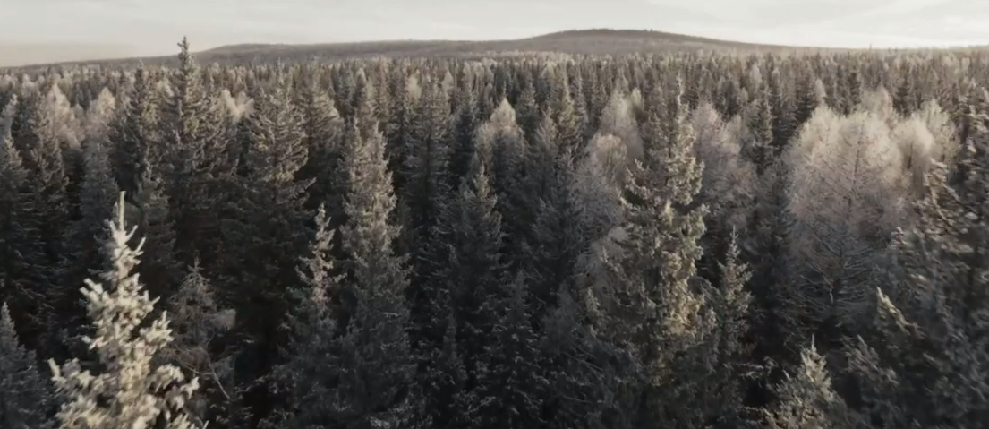 Изображение новости